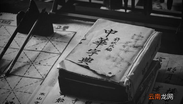 摘字的音序是什么音节是什么 摘字的音序和音节