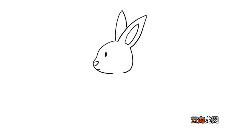 玉兔简笔画 玉兔的画法
