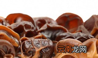 木耳炒洋葱怎么做好吃 木耳炒洋葱如何做好吃