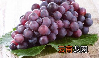 中国云南省产哪些水果 中国云南省产的水果有哪些