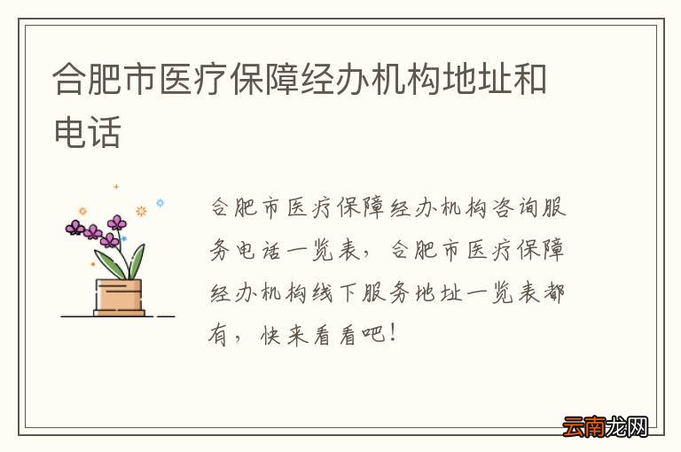 合肥市医疗保障经办机构地址和电话