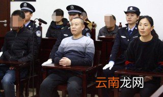 合肥90后杨春燕犯了什么罪 她是谁