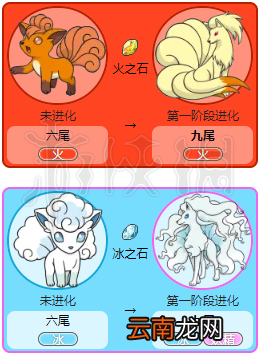 精灵宝可梦皮卡丘伊布九尾各形态招式一览 九尾属性相性说明 基本介绍
