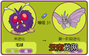 精灵宝可梦皮卡丘伊布毛球全招式一览 毛球资料大全 基本介绍