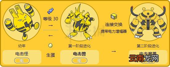 精灵宝可梦 Let's Go电击兽技能配招介绍 电击兽全属性资料 基本介绍