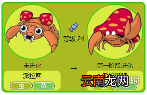 精灵宝可梦lets go派拉斯特属性介绍 派拉斯特招式+配招一览 基本介绍