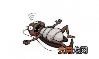家里蟑螂是怎么来的 家里有蟑螂是如何来的
