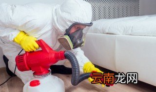 家里全是小飞虫怎么办，家里有些小飞虫怎么办