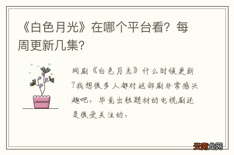 《白色月光》在哪个平台看？每周更新几集？