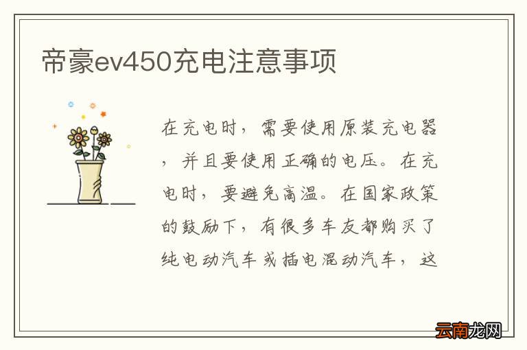 帝豪ev450充电注意事项