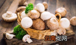 腊肉炒蘑菇怎么做好吃 腊肉炒蘑菇的做法步骤