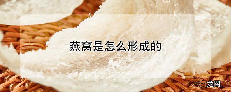 燕窝是怎么形成的