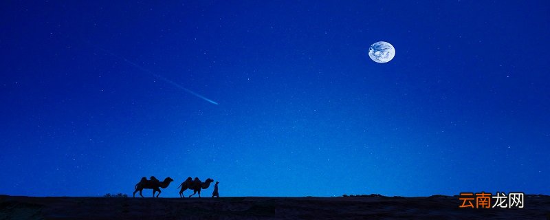 什么东西晚上才生出尾巴 晚上才生出尾巴的东西是什么