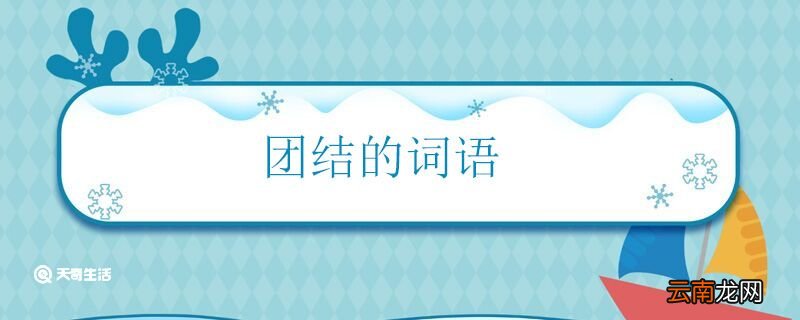 团结的词语 表示团结的词语有哪些