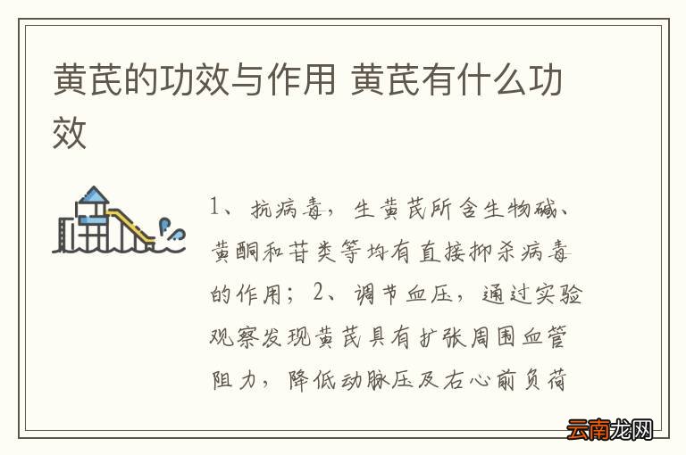 黄芪的功效与作用 黄芪有什么功效