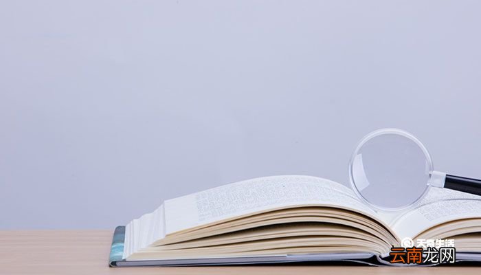 实习总结 实习生个人总结