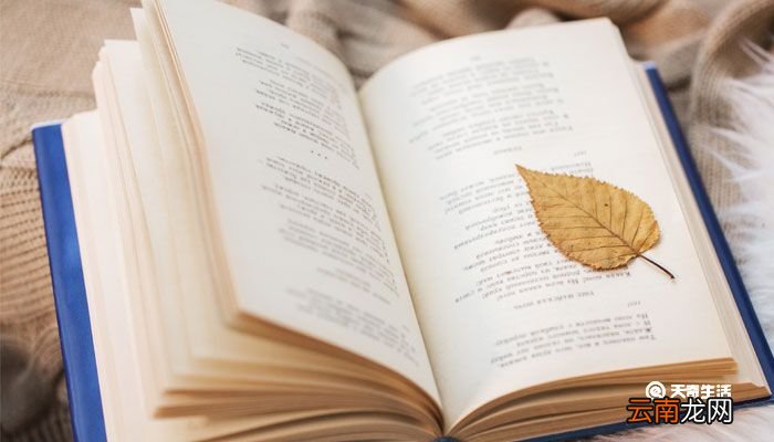 大班幼儿毕业感言简短 幼儿园毕业句子唯美