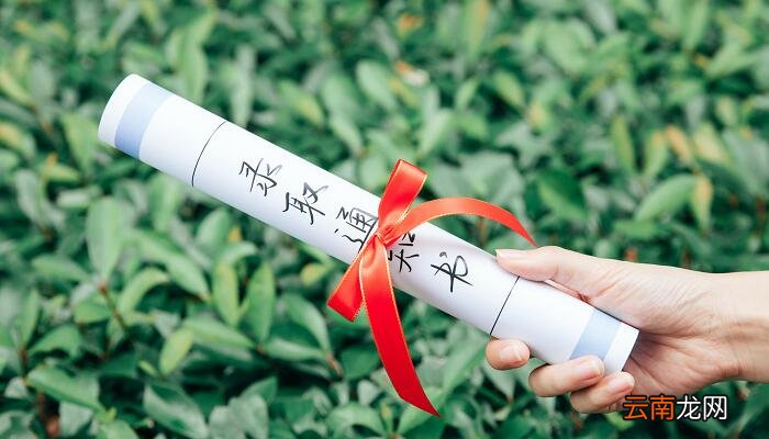 中考录取码是什么意思 中招录取结果代码是什么意思