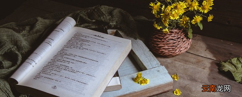 杂兴的意思是什么四时田园杂兴就是指什么杂兴的意思是什么四时田园杂兴的意思是什么