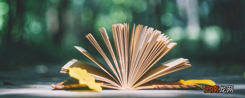 呼风唤雨的世纪主要讲了什么 《呼风唤雨的世纪》主要内容