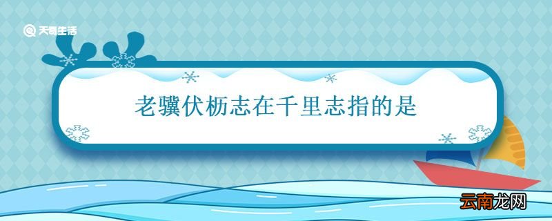 老骥伏枥志在千里志指的是 老骥伏枥志在千里的意思
