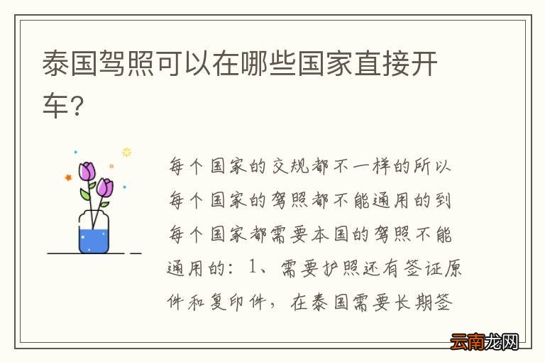 泰国驾照可以在哪些国家直接开车?