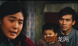 牧马人电影演员表 讲的是什么