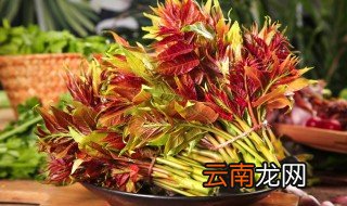 咸香椿怎么做好吃 咸香椿的做法
