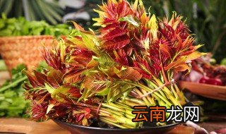 香椿拌豆腐怎么做好吃 香椿拌豆腐的做法