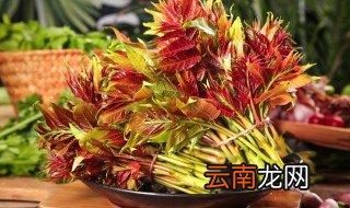 怎么做香椿炒鸡蛋 香椿炒鸡蛋的做法