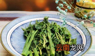 怎么腌制香椿芽 腌制香椿芽的方法