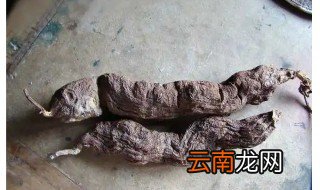 何首乌可以放什么材料去煲汤 何首乌可以放哪些材料去煲汤