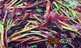 腌香椿怎么吃 腌香椿如何吃