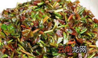 香椿腌成咸菜后怎么吃 香椿腌成咸菜后如何吃