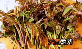 干香椿怎么做好吃 干香椿如何做好吃