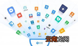 手机钉钉使用教程 如何使用手机版钉钉