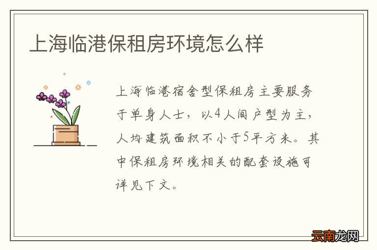 上海临港保租房环境怎么样