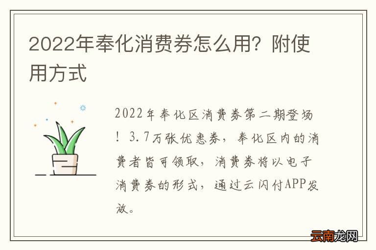 2022年奉化消费券怎么用？附使用方式
