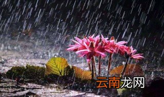 杭州梅雨季节是什么时间 2022年杭州梅雨季节是什么时间