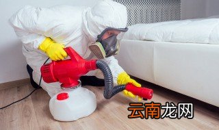 家里生蛆了怎么杀死，生蛆了用什么方法能杀死