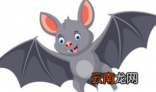 家里飞进来一只蝙蝠怎么办，家里飞进了一只蝙蝠怎么办