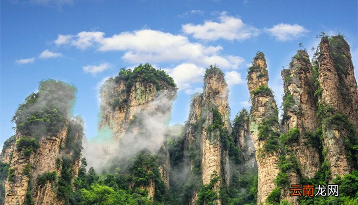 两个木一个耳朵旁是什么字 两个木一个耳朵旁是什么字郴州