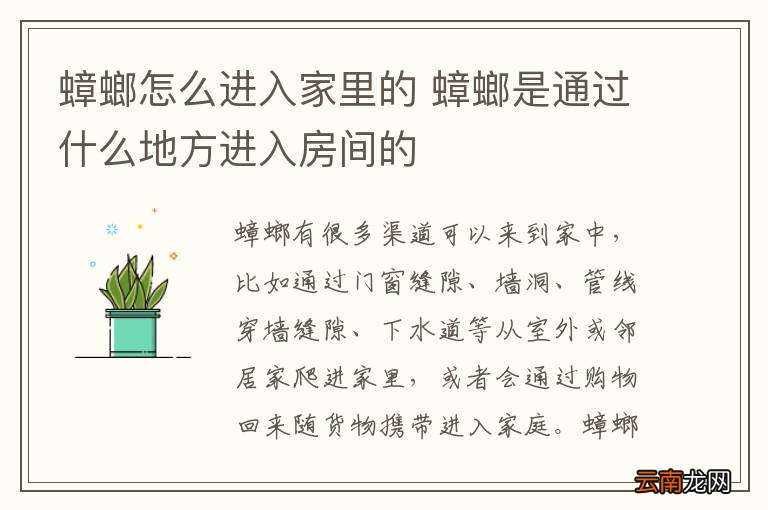 蟑螂怎么进入家里的 蟑螂是通过什么地方进入房间的
