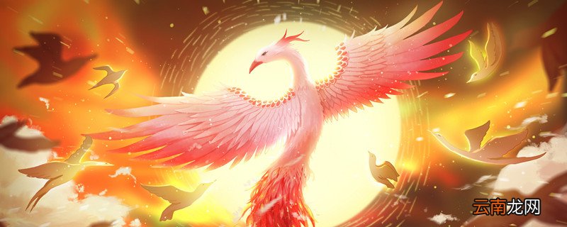 毛凤鳞角是什么意思 毛麟凤角啥意思