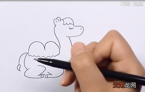 双峰骆驼简笔画