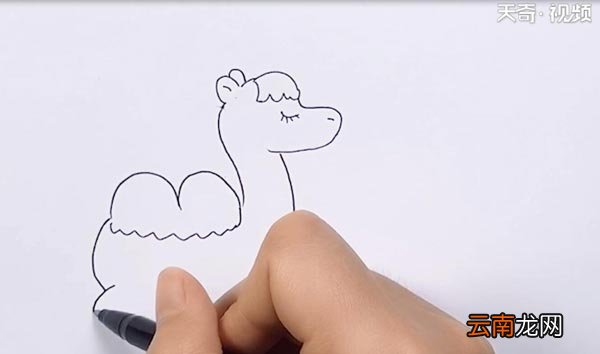 双峰骆驼简笔画