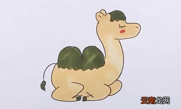 双峰骆驼简笔画