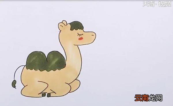 双峰骆驼简笔画