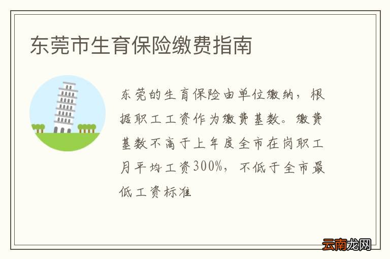 东莞市生育保险缴费指南