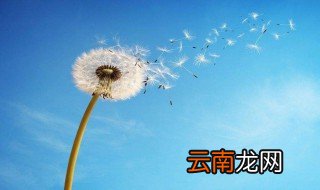 致自己早安唯美的句子 致自己早安唯美的句子列述